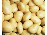 Khoai tây có thể là nguyên liệu chính sản xuất túi nhựa dẻo